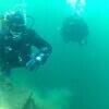 Picture taken during the dive