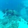 Picture taken during the dive