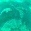 Picture taken during the dive