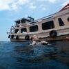 Picture taken during the dive