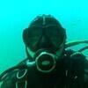 Picture taken during the dive