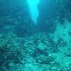 Picture taken during the dive
