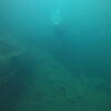 Picture taken during the dive