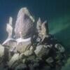 Picture taken during the dive