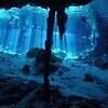 Picture taken during the dive