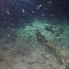 Picture taken during the dive