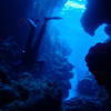 Picture taken during the dive