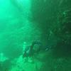 Picture taken during the dive