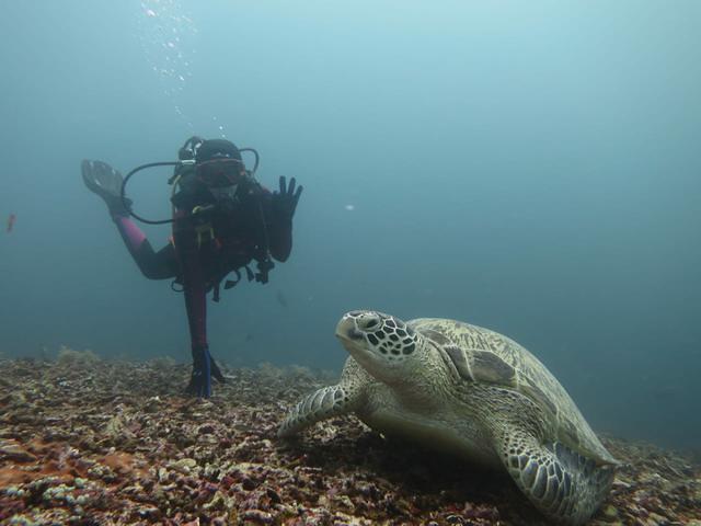 Manta Dive - Dive Center in Indonésie