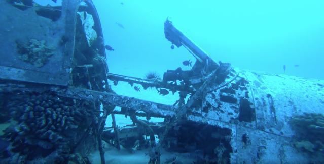 Diving in United States, Hawaii Kai, HI - By Skern0721