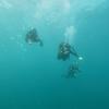 Picture taken during the dive
