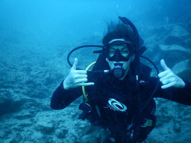 Kirra Dive 'on The Tweed' - Dive Center in Australia