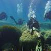 Picture taken during the dive