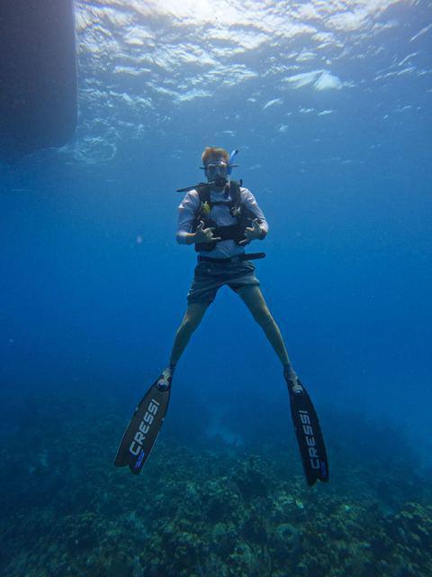 Red Sail Sports - Dive Center in 开曼群岛