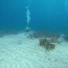 Picture taken during the dive