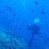 Picture taken during the dive
