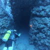 Picture taken during the dive