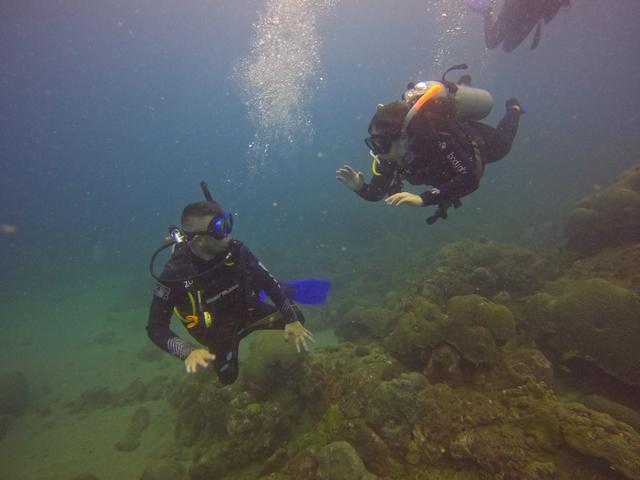 Tayrona Dive Center - Dive Center in Colombia