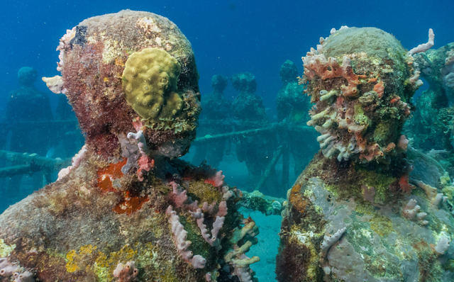 Diving in Grenada, Grenada Island - By Stecam