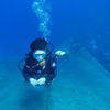 Picture taken during the dive