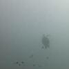 Picture taken during the dive