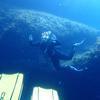 Picture taken during the dive
