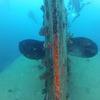 Picture taken during the dive