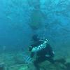Picture taken during the dive