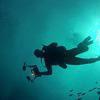 Picture taken during the dive