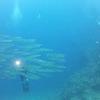 Picture taken during the dive