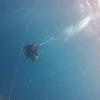 Picture taken during the dive