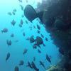 Picture taken during the dive