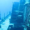 Picture taken during the dive