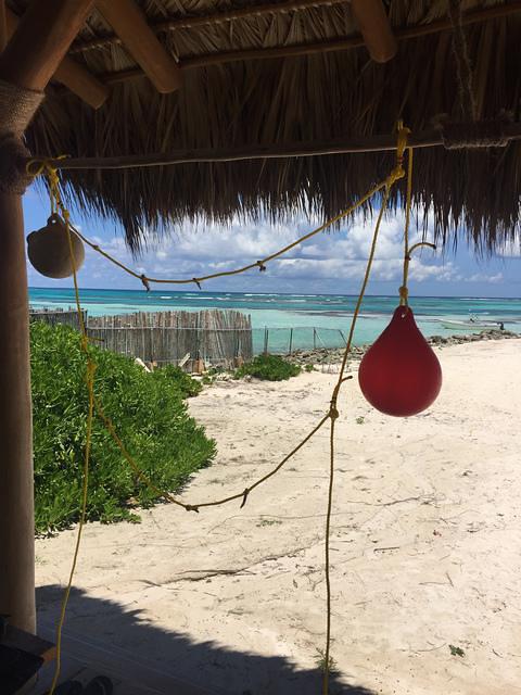 Blue Vision Adventures - Dive Center in Dominican Republic