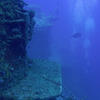 Picture taken during the dive