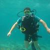 Picture taken during the dive