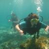 Picture taken during the dive