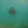 Picture taken during the dive