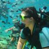 Picture taken during the dive