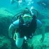Picture taken during the dive