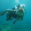 Picture taken during the dive
